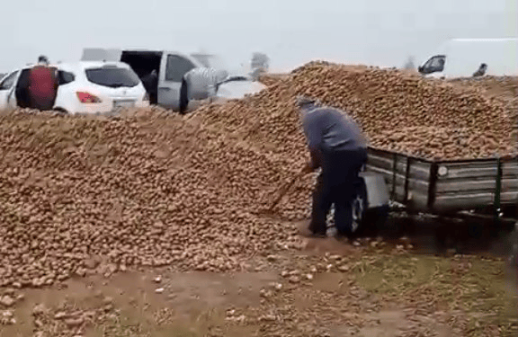 波兰68岁农民收获的150吨土豆被一夜搬空<strong></p>
<p>比克币</strong>, 只因帖子遭篡改