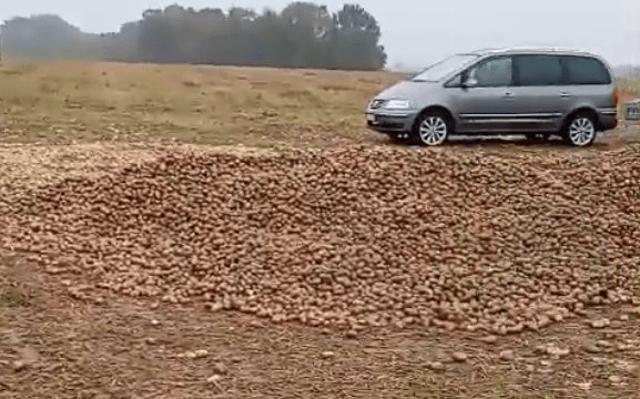 波兰68岁农民收获的150吨土豆被一夜搬空<strong></p>
<p>比克币</strong>, 只因帖子遭篡改