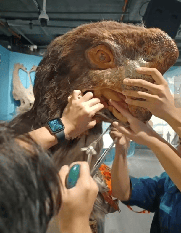 被卡住了<strong></p>
<p>比克币</strong>!广州一游客把手伸进恐龙模型嘴中