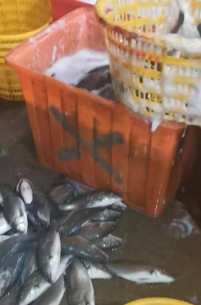 水产市场“麻醉鱼”调查：有商家称麻药有味会换水再卖<strong></p>
<p>千币</strong>，有无危害尚不明