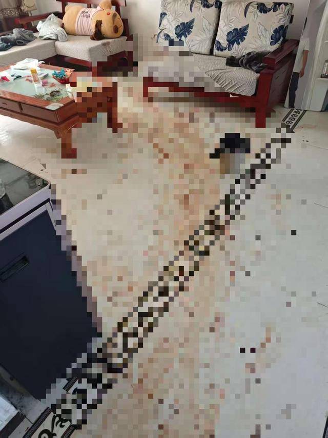 “女子出租屋遭男友持刀杀害”案明日开庭<strong></p>
<p>汇币换算</strong>,家属发声:凶手从未道歉,我们不会谅解