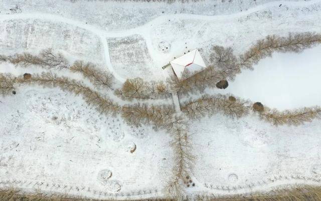 百年难遇“早立冬”来了<strong></p>
<p>汇币换算</strong>！有啥讲究？早看早准备！