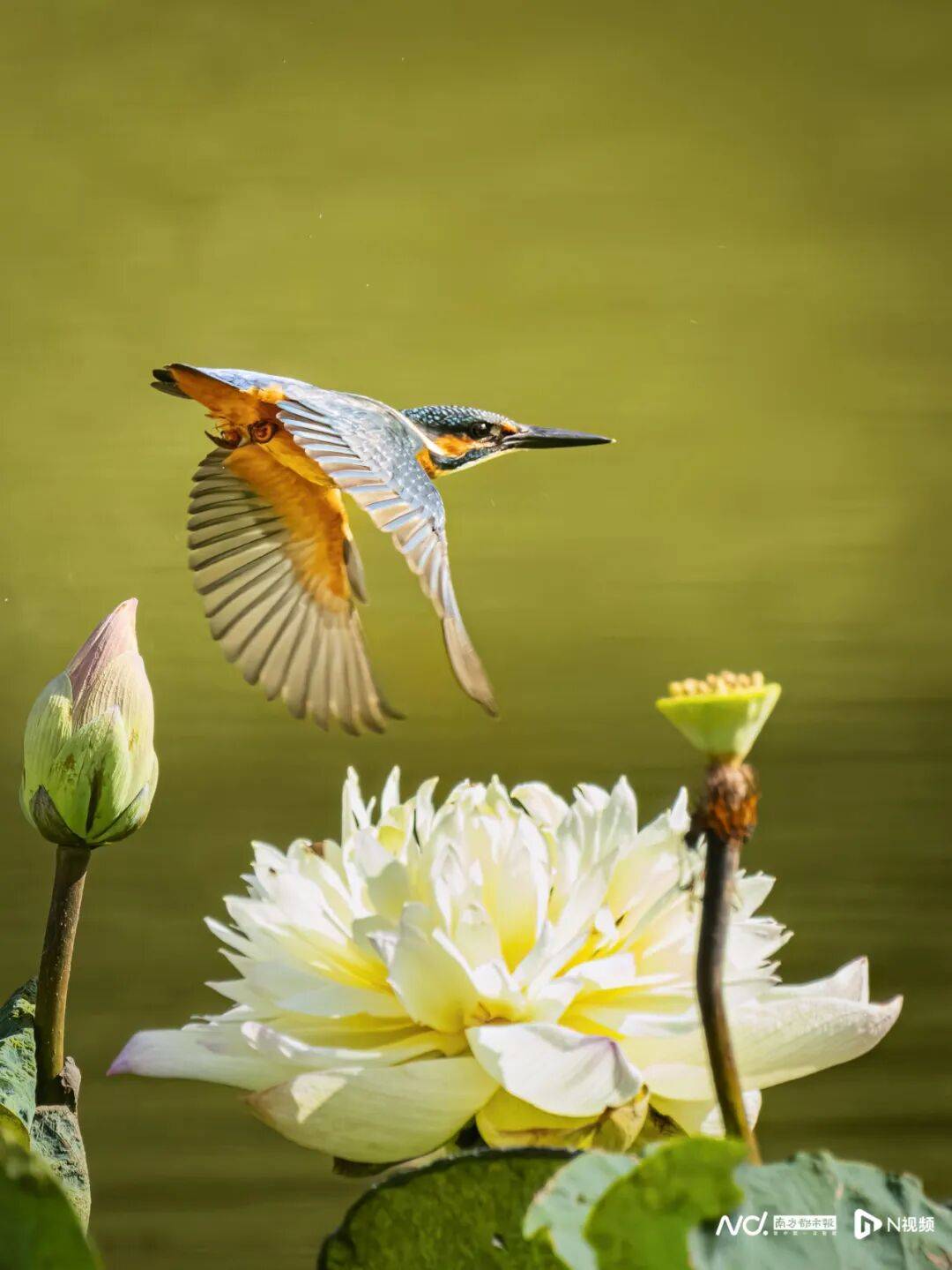 东莞最新发布：将严厉打击这些行为<strong></p>
<p>汇币换算</strong>！