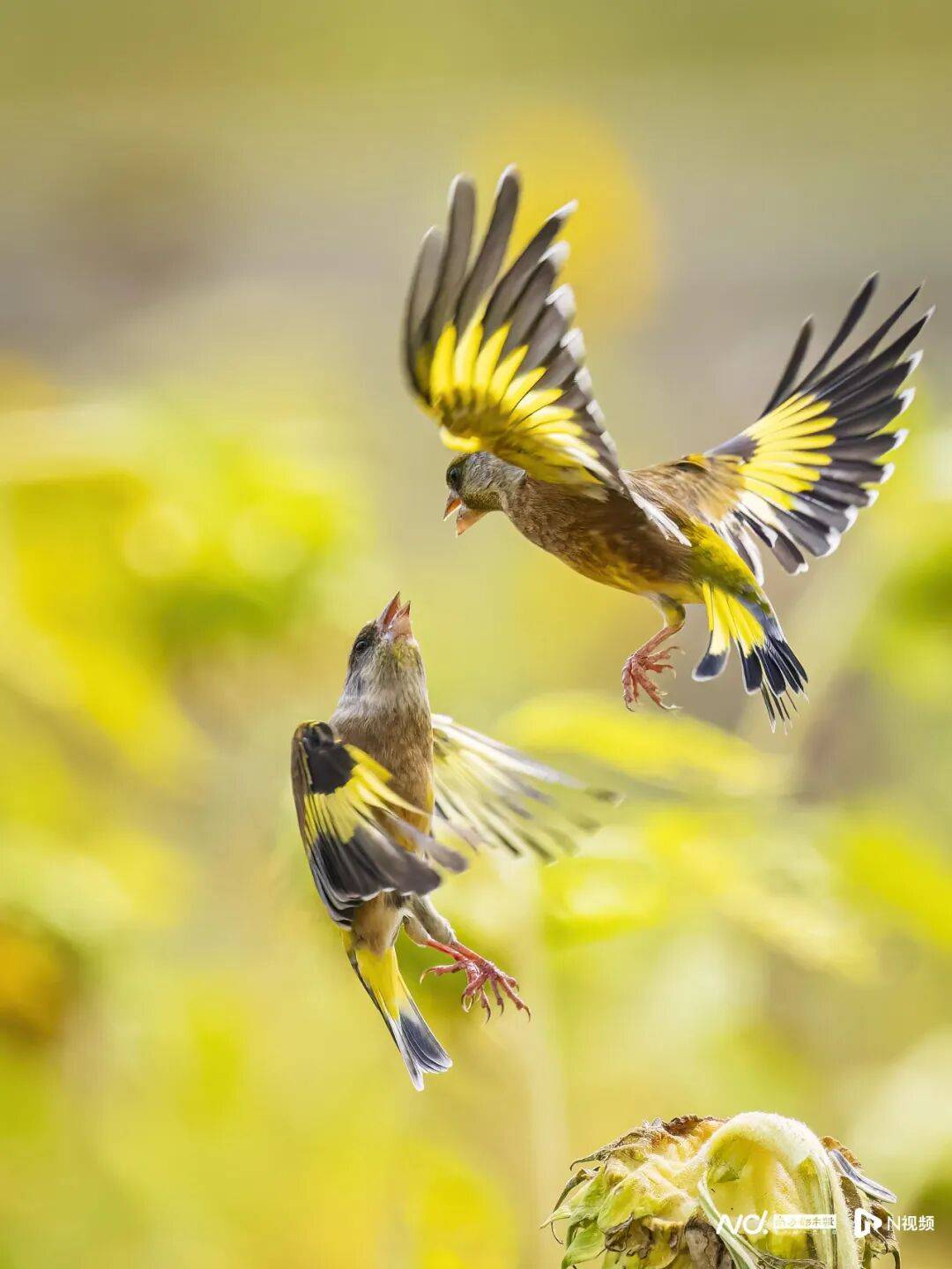 东莞最新发布：将严厉打击这些行为<strong></p>
<p>汇币换算</strong>！