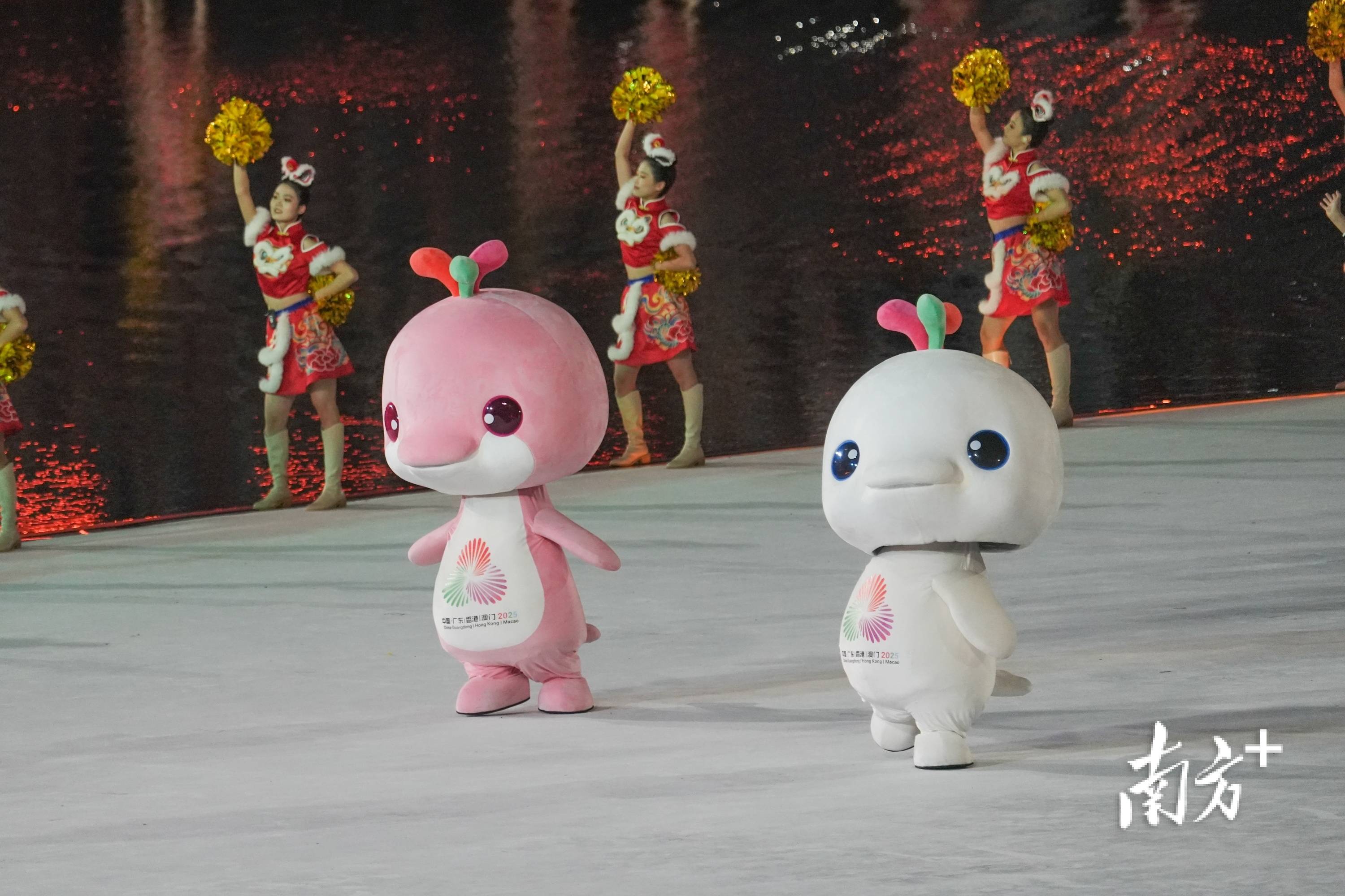 懂功夫的“鳌鱼”与“吉祥物”<strong></p>
<p>快币的作用</strong>，来自佛山