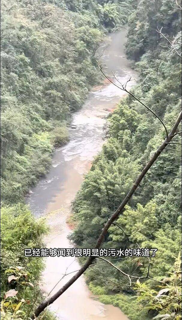 重庆通报:坚决查处<strong></p>
<p>元界币</strong>,绝不姑息