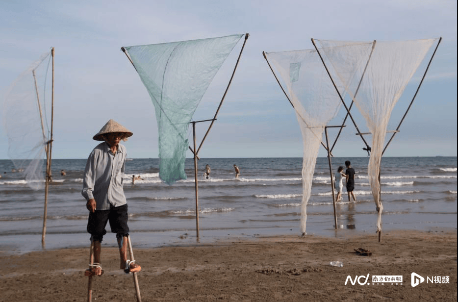 外交部赵立坚点赞湛江：渔网起落间<strong></p>
<p>全球有多少种币</strong>，满舱鲜活载着晨光归来