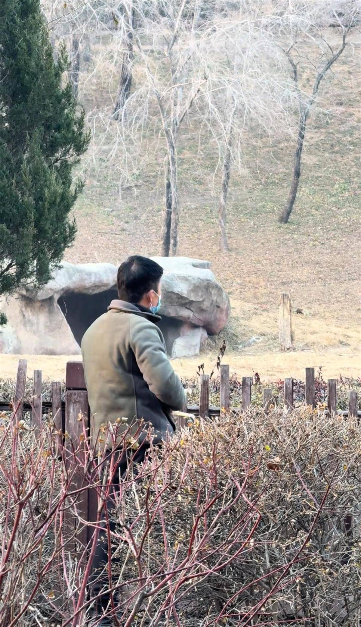 沈阳一男子动物园内用弹弓射老虎<strong></p>
<p>假捆币</strong>,目击者称其“填装了弹丸”,打完后老虎爬起来了,园方:正在核实情况