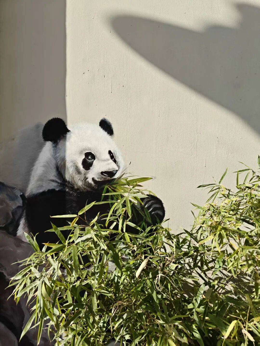 “颜值”出圈 天津和平区独山路这面彩绘墙“亮”<strong></p>
<p>w币</strong>了