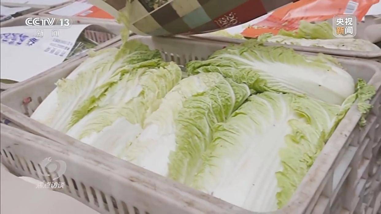 单棵售价超百元<strong></p>
<p>吉祥如意币</strong>，起底“套牌白菜”背后的销售套路