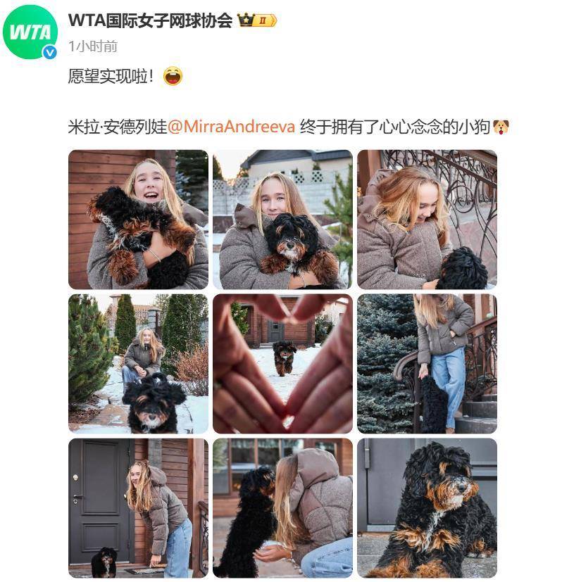 “小米辣”终于有了自己的小狗!曾说养狗是赢球的动力<strong></p>
<p>吉祥如意币</strong>,WTA官方发“贺信”:愿望实现啦!