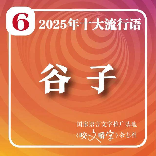 2025年十大流行语公布