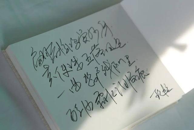 何晴之子追思:妈妈很喜欢雪<strong></p>
<p>37币</strong>,北京这场雪好像是为她而下