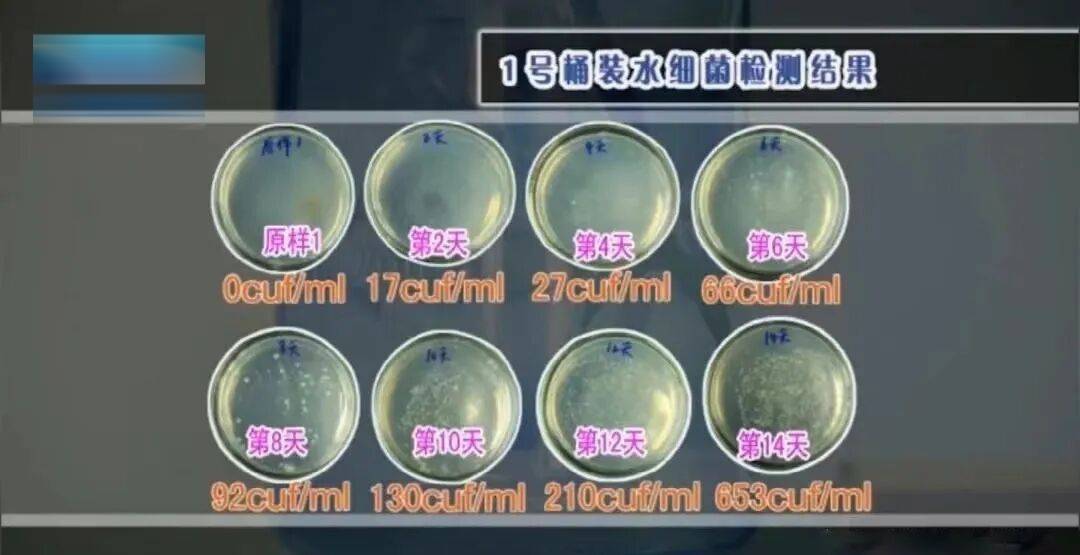 6种东西<strong></p>
<p>37币</strong>,没过保质期就“坏了”?赶紧看看,别拿全家健康开玩笑