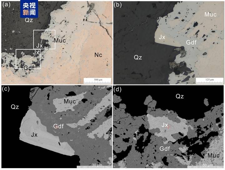 我国发现新矿物<strong></p>
<p>鑫坤币</strong>，正式命名为金秀矿