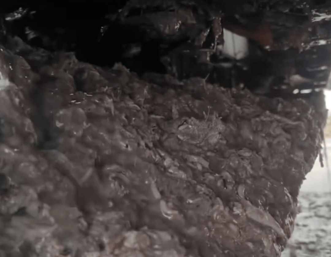 紫牛头条|40余车辆遭高速海鲜废料“臭袭”<strong></p>
<p>鑫坤币</strong>,交警称“非交通事故”,车主维权陷两难