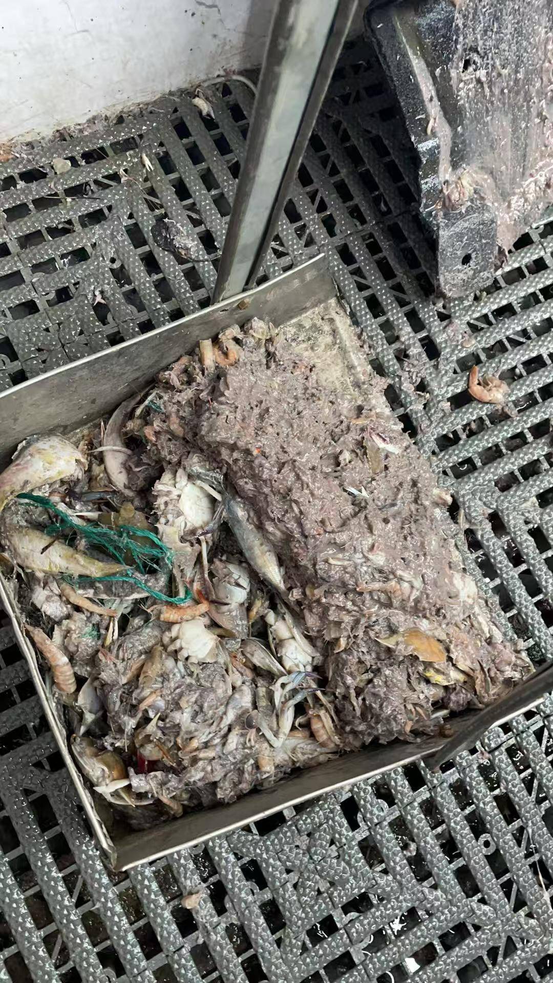 紫牛头条|40余车辆遭高速海鲜废料“臭袭”<strong></p>
<p>鑫坤币</strong>,交警称“非交通事故”,车主维权陷两难