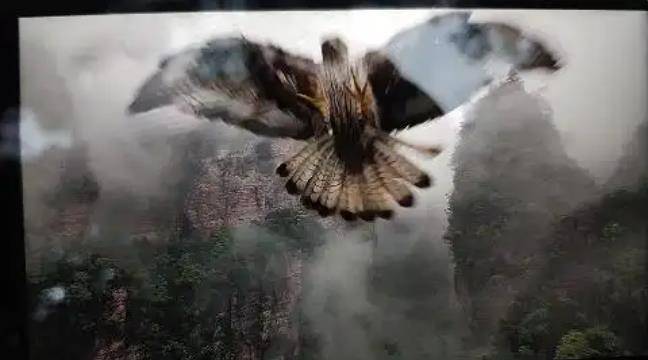 土耳其老鹰空中抓走无人机<strong></p>
<p>lun币</strong>，带上山顶“玩自拍”