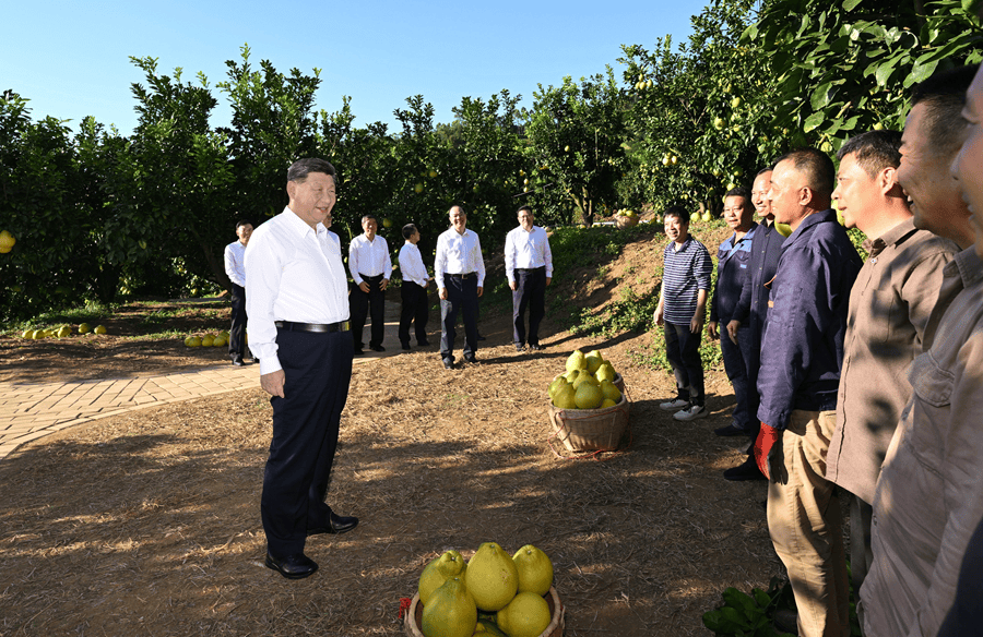 奋进的回响|沃野的答卷