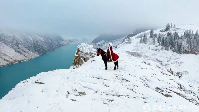 贺娇龙已安葬于昭苏公墓<strong></p>
<p>isot币</strong>，其父亲亦葬于此地