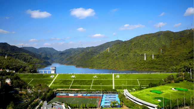 深圳一条路的路灯竟被官方“故意调暗”<strong></p>
<p>鸿币</strong>！原因很特别……