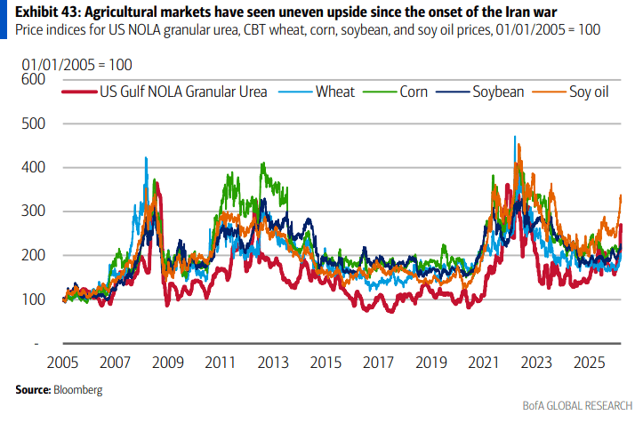 伊朗战争要是打久了<strong></p>
<p>乌龟币</strong>，那就远不只是油价暴涨的事了