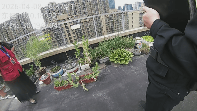 杭州一小区发现35株罂粟！保安巡逻起疑后报警<strong></p>
<p>赠币</strong>，警方：2位老人在菜盆、花盆混种，隐蔽性极强，分别罚款300元、400元